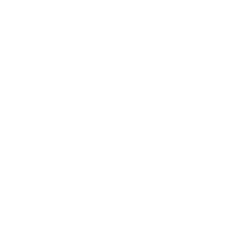 Fire icon