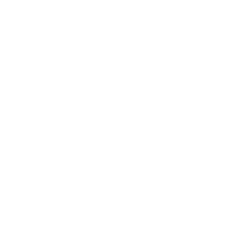 Ladder icon